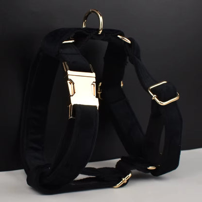 Black Velvet Dog Collar and Leash Set for Small Medium Large Dogs Custom Engraved Nameplate Pet Supplies Dog Leash Velvet13